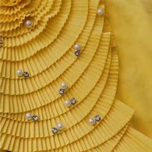 Meet your Posher, Dina